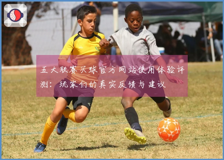 五大联赛买球官方网站使用体验评测：玩家们的真实反馈与建议