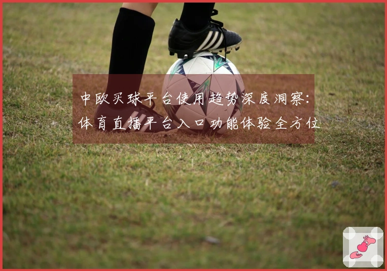 中欧买球平台使用趋势深度洞察：体育直播平台入口功能体验全方位评测