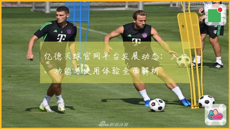 亿德买球官网平台发展动态：入口、功能与使用体验全面解析