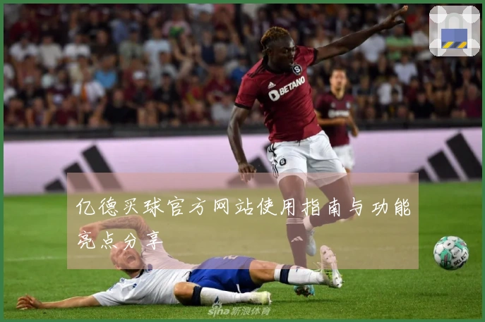 亿德买球官方网站使用指南与功能亮点分享