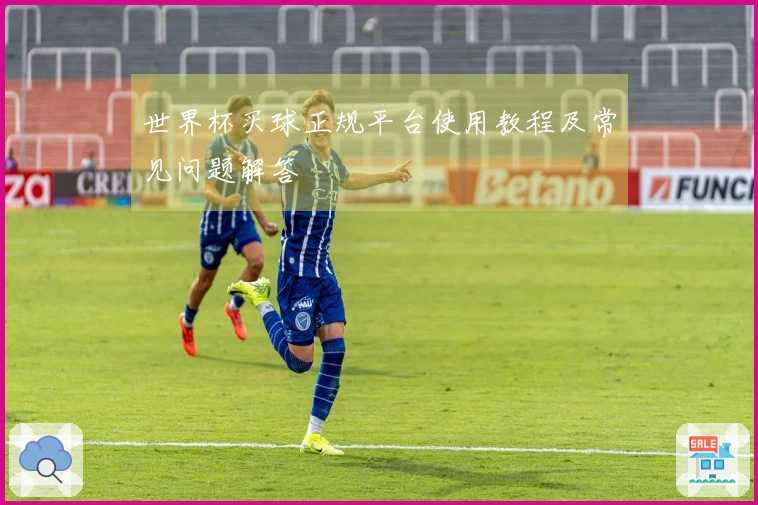 世界杯买球正规平台使用教程及常见问题解答