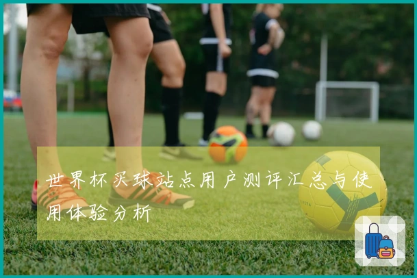 世界杯买球站点用户测评汇总与使用体验分析