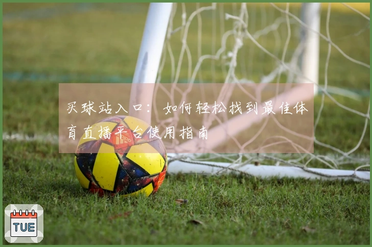 买球站入口：如何轻松找到最佳体育直播平台使用指南
