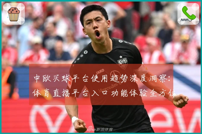 中欧买球平台使用趋势深度洞察：体育直播平台入口功能体验全方位评测