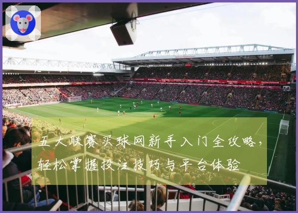 五大联赛买球网新手入门全攻略，轻松掌握投注技巧与平台体验