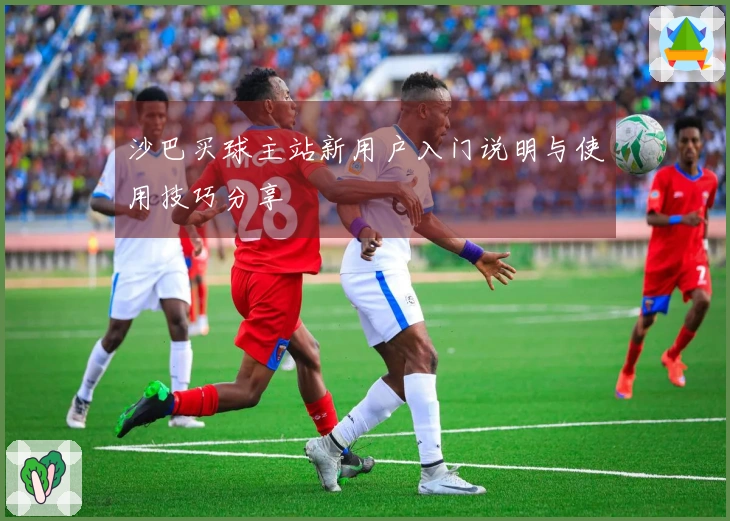 沙巴买球主站新用户入门说明与使用技巧分享