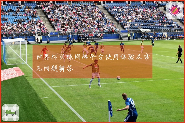 世界杯买球网络平台使用体验及常见问题解答