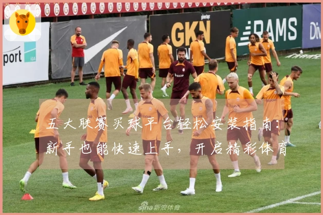 五大联赛买球平台轻松安装指南：新手也能快速上手，开启精彩体育观赛之旅